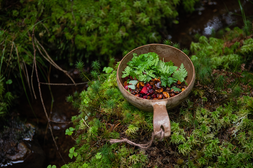Nüsse, Beeren und Kräuter in einer Holzschale oder kåsa im Wald