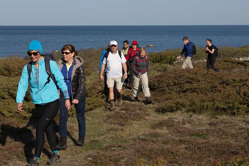 Steninge coastal hike, Halland