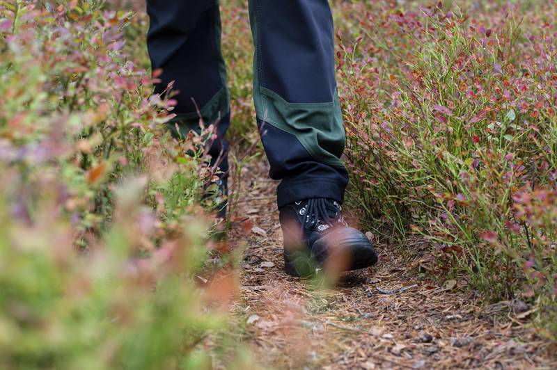 Wandern in Westschweden