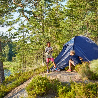 Top 6 Outdoor Activities In Smaland With Kids Visit Sweden