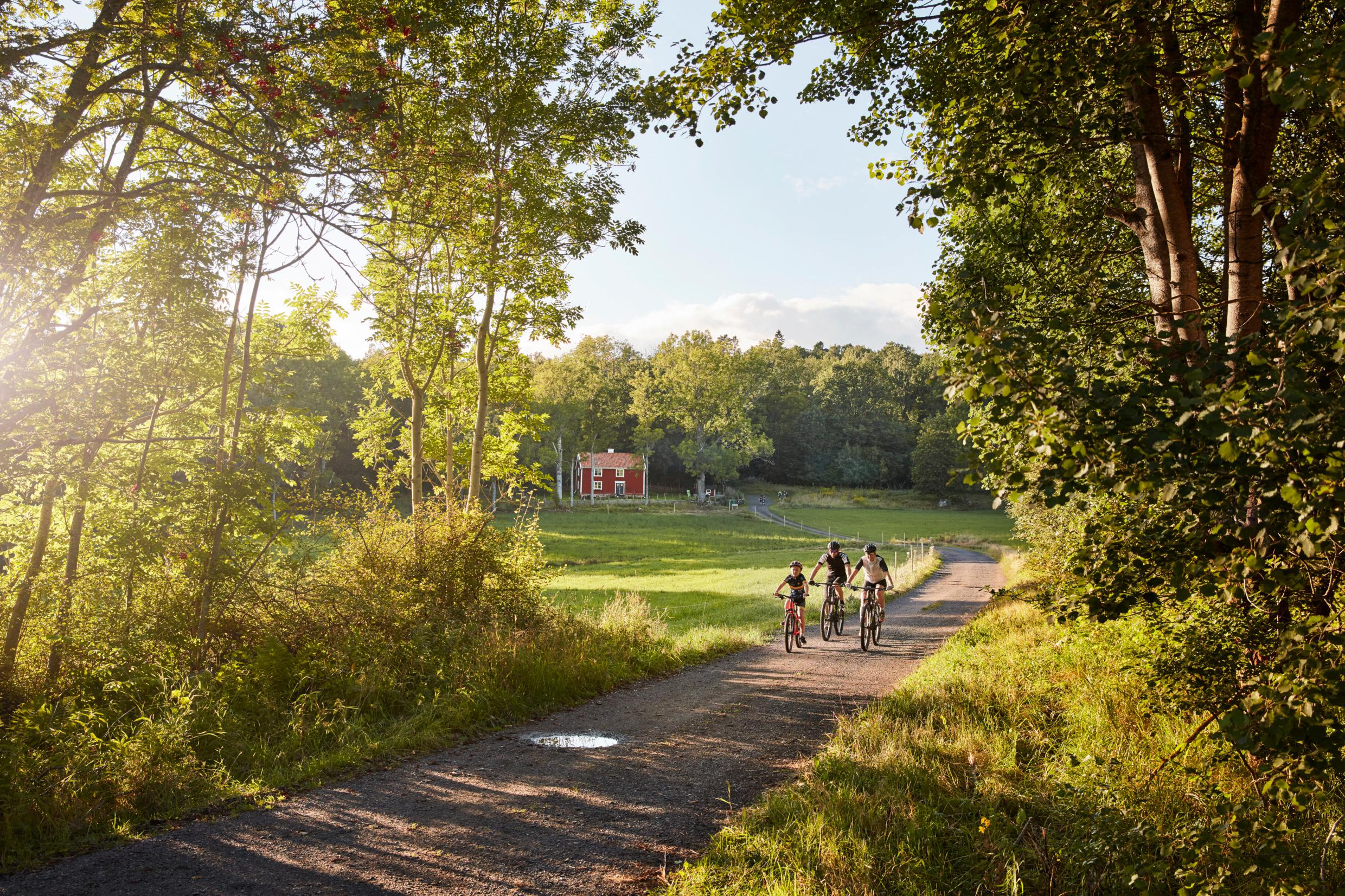 turen går til småland turen går til småland