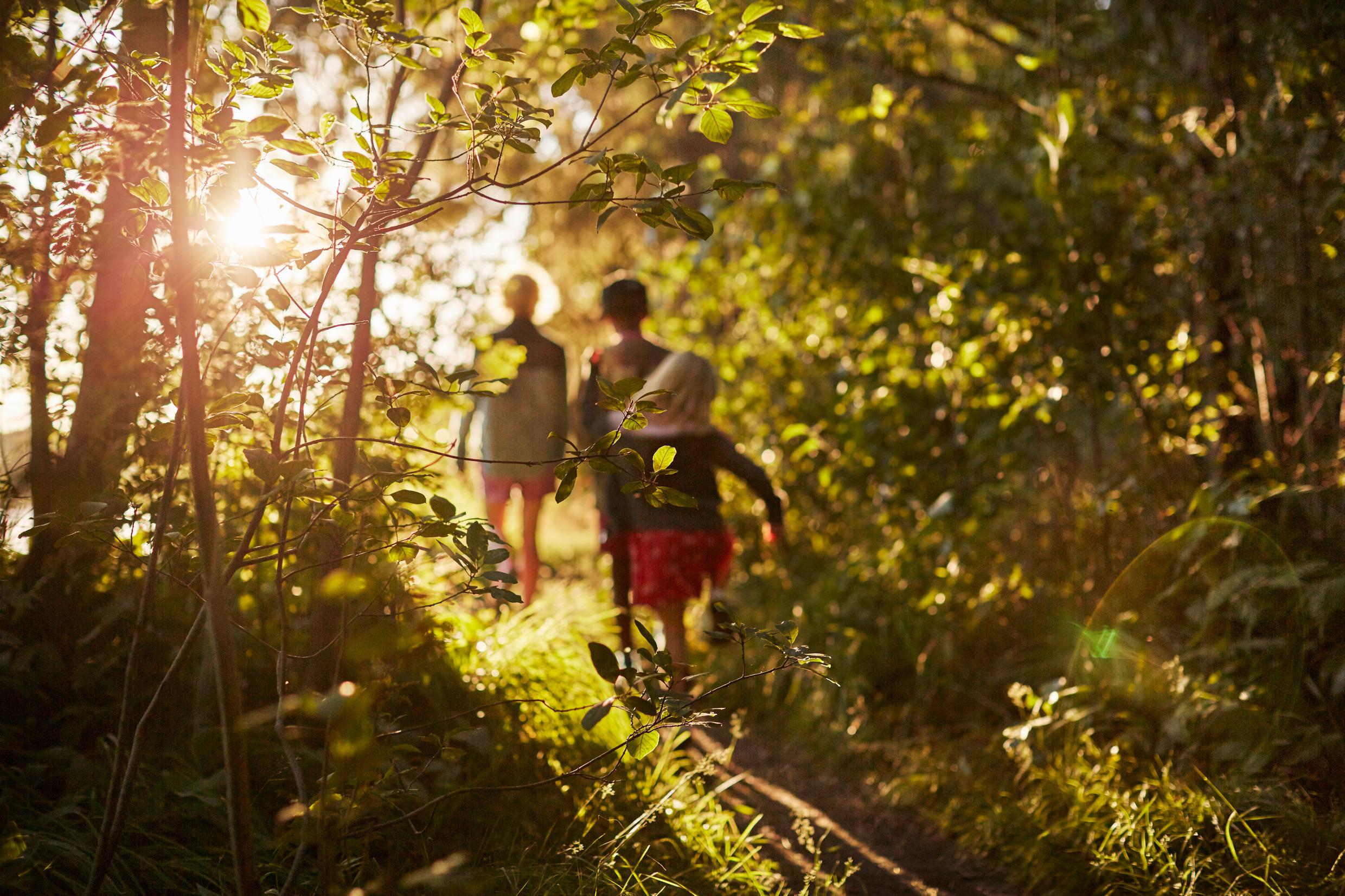 environmental tourist attractions sweden nature attractions